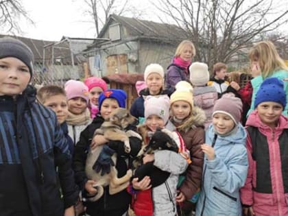 «Протяни  руку лапам»