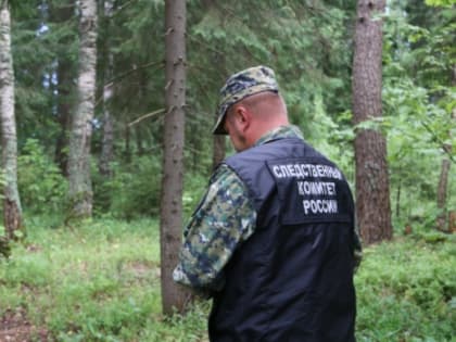 По факту травмирования ребенка в результате удара током возбуждено уголовное дело