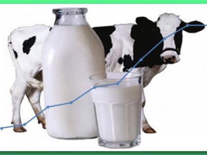 Лидеры по производству молока