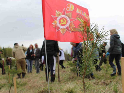 У деревни Платково вырастет «Сад памяти»