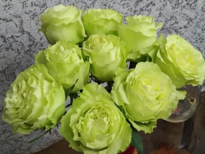 Уважаемые работники и ветераны агропромышленного комплекса!