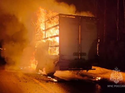 За минувшие сутки спасатели 3 раза выезжали на тушение пожаров