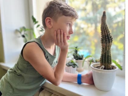 Три заветных желания шестиклассника Семибратова