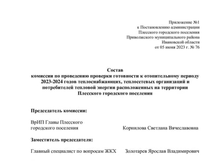 Руководительница Плёса лично займется подготовкой города к зиме