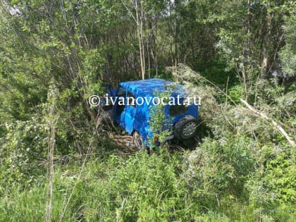 «УАЗ» вломился в лес (ФОТО)