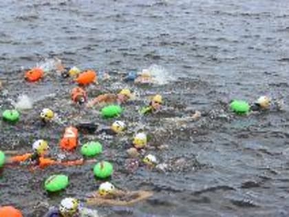 В Кинешме состоялись соревнования по плаванию на открытой воде «Swimcup – Волга»