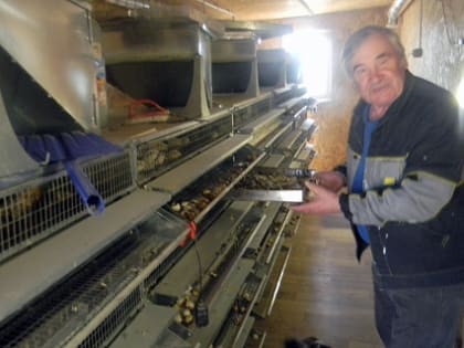 Фермер из Ивановской области поставила рекорд по освоению гранта "Агростартап"