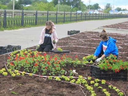 Тысячи цветов украсят Шую