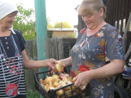 Комплексный центр социального обслуживания населения принял участие в благотворительной акции «Поможем собрать урожай»