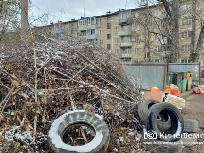 Ликвидация несанкционированных свалок обошлась бюджету Кинешмы в 5 млн рублей