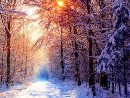23 февраля – Прохор Весновей, Харлампий, Прохоров день