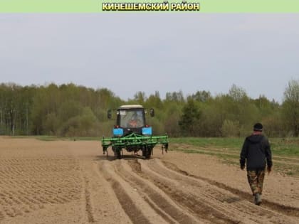 Аграрии Кинешемского района приступили к посевной компании