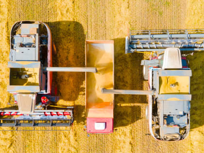 Производство продукции сельского хозяйства в Ивановской области за пять лет увеличилось почти на четверть