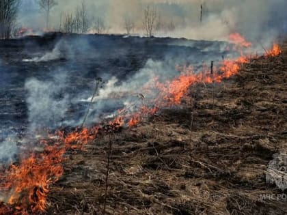 19 раз всего за день выезжали пожарные Ивановской области на тушение травы