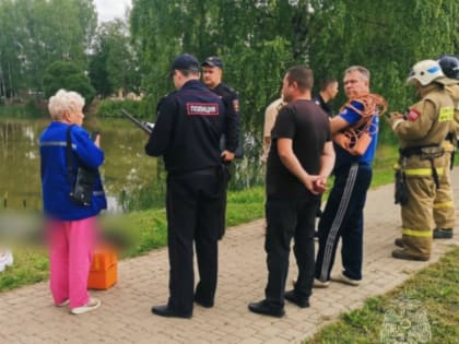 В Ивановской области из пруда прохожие достали тело 49-летнего мужчины