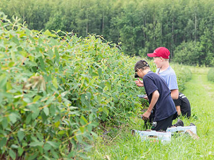 Работает пернатый спецназ