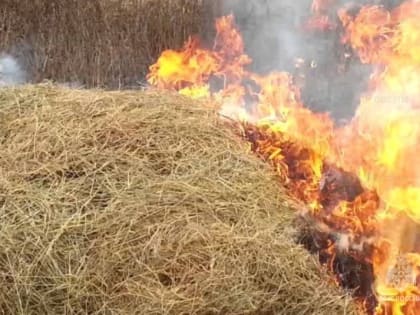 За сутки пожарные в Ивановской области 7 раз выезжали на тушение возгораний
