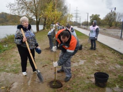 Энергетики компании «Т Плюс» помогают благоустраивать новую набережную в Иванове