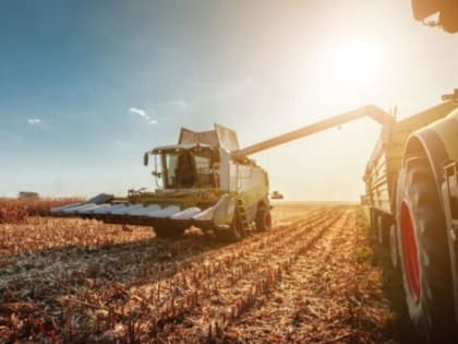 По итогам 2022 года аграрии Ивановской области увеличили объемы производства