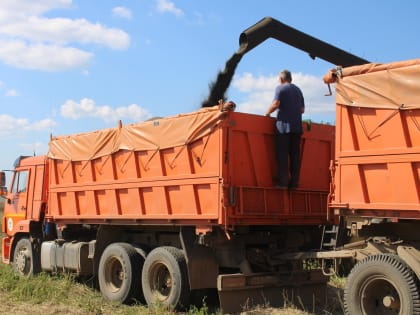 В Кинешемском районе завершается уборочная кампания