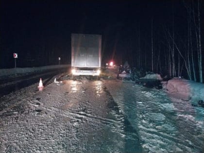 В Ивановской области три человека погибли под колесами большегруза