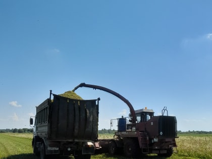 Заготовке кормов жаркая погода не помеха