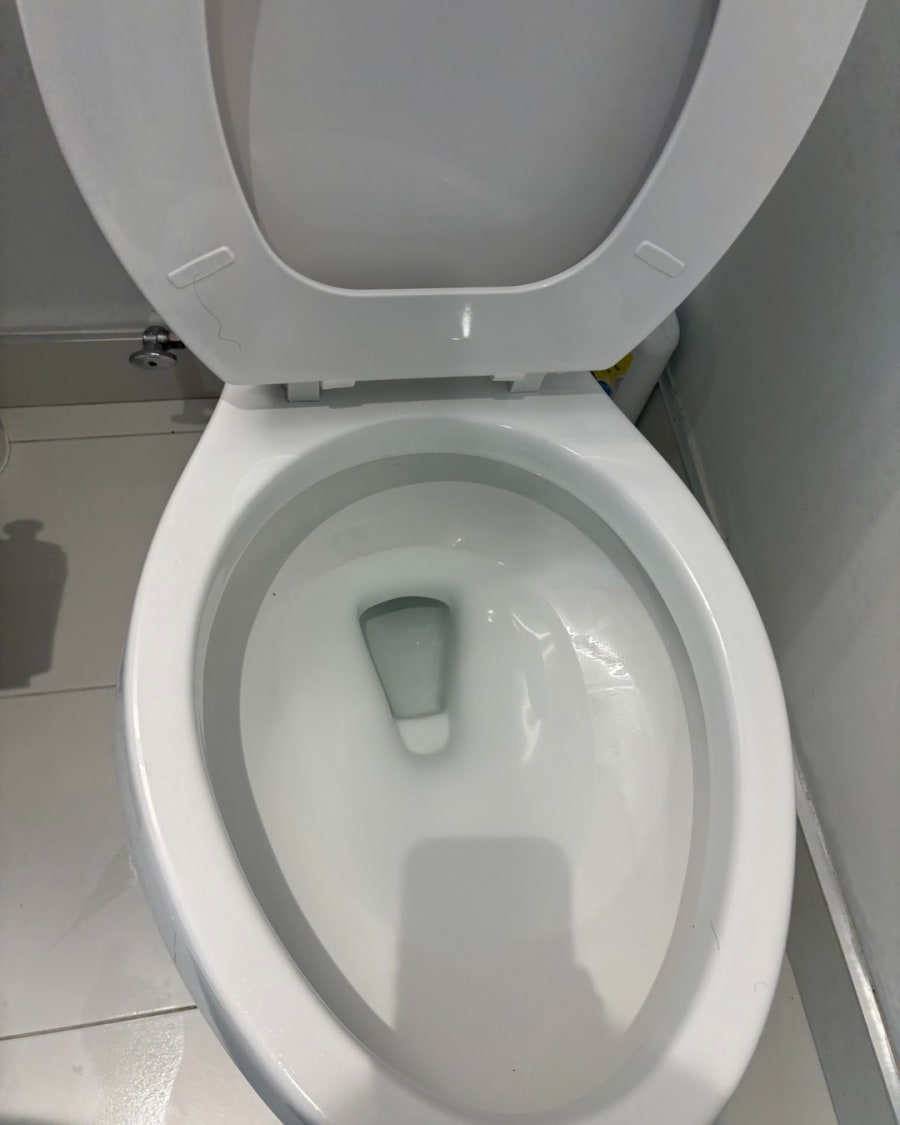 The same toilet, scrubbed and gleaming after a Zamora clean