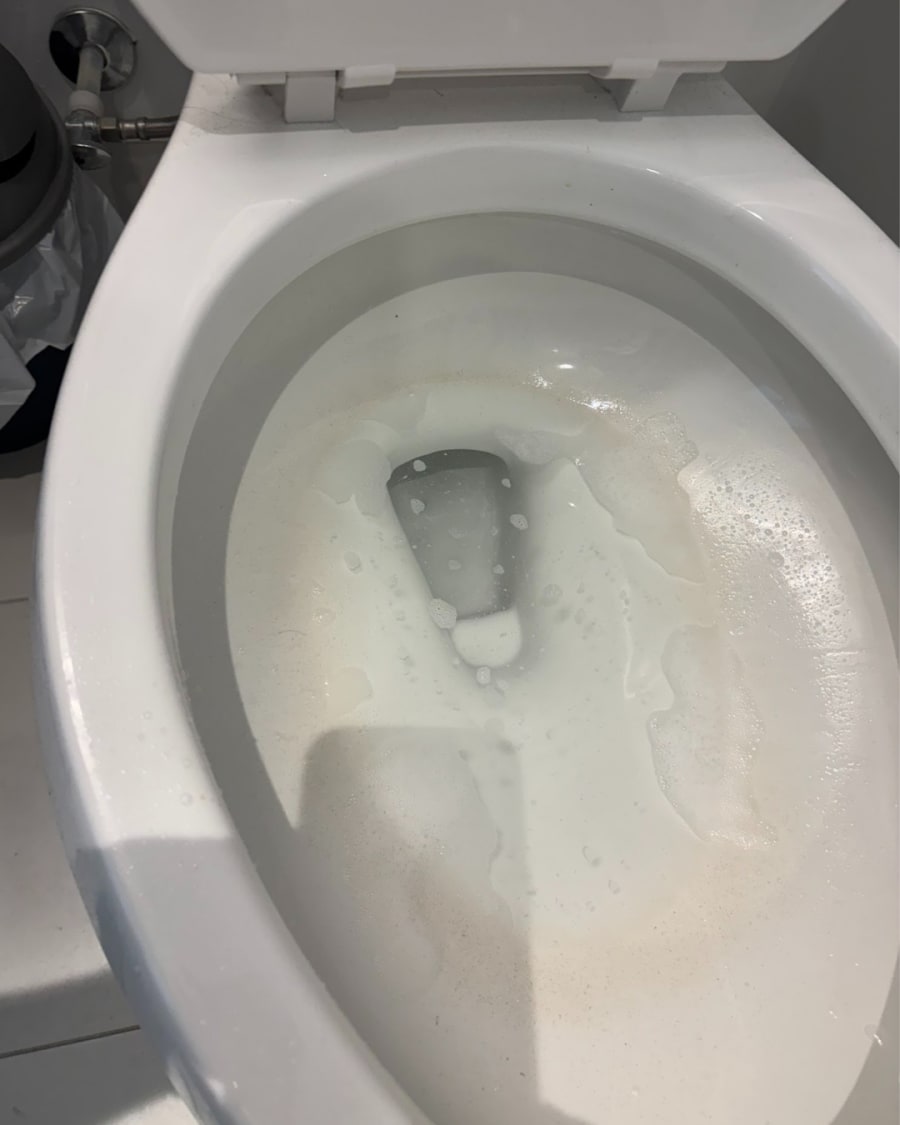 A client's toilet and bathroom corner before cleaning