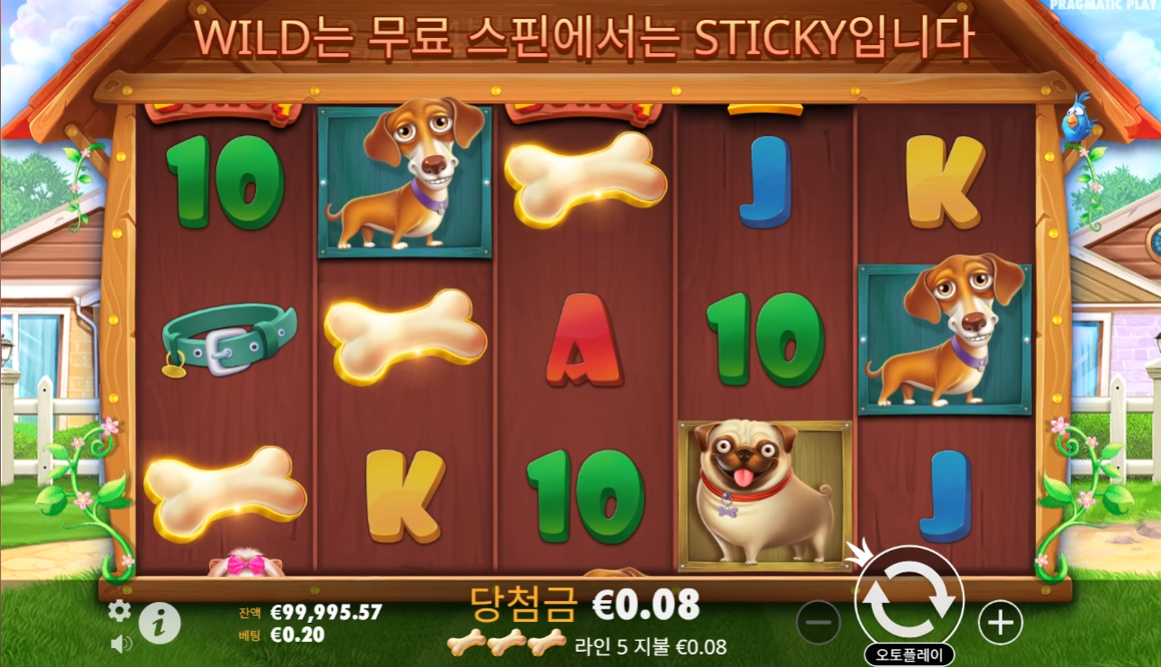랜덤 보상