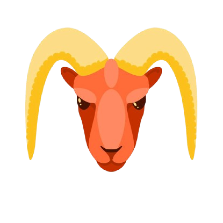 capricorn zodiac sign