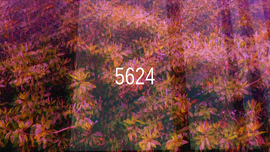 _5624/ OST