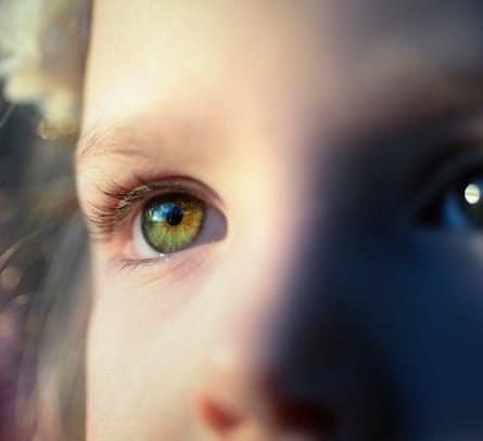 Nutrition for Children's Eye Health: A Parent's Guide