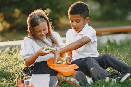 healthy lunchbox for kids