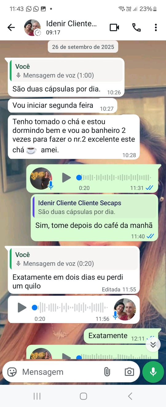 Depoimento WhatsApp 3