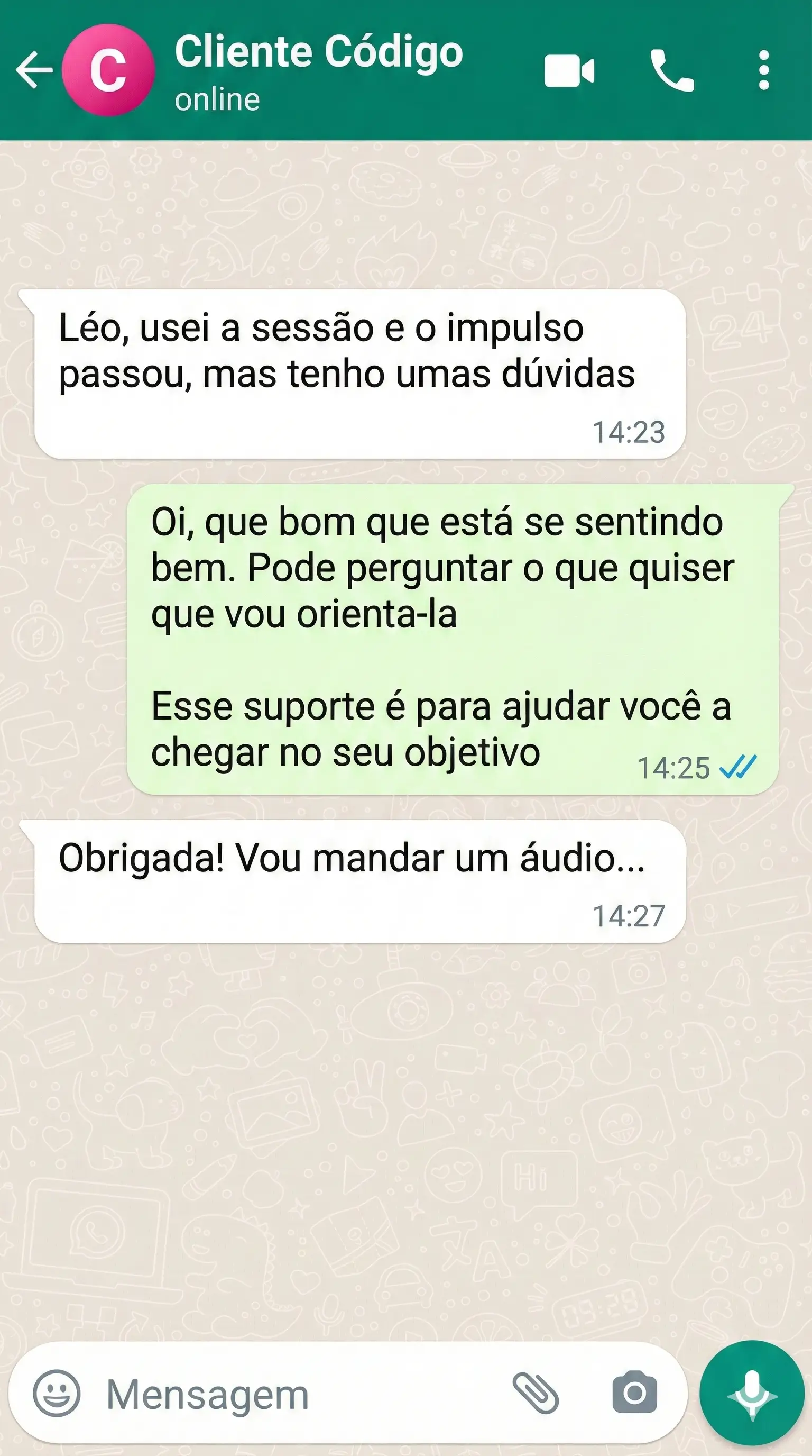Suporte Direto por WhatsApp