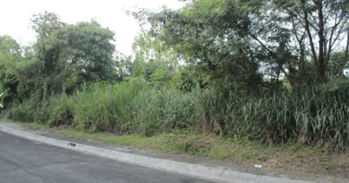 Resident Lot at Banyan Ridge Timberland Heights — ₱10,000,000 | LotAtlasPH