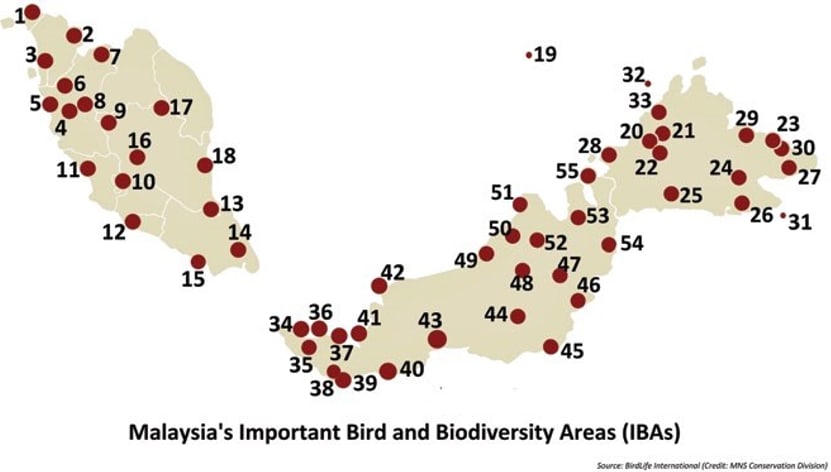 IMPORTANT BIRD AND BIODIVERSITY AREA (IBA) FOCUS - LEND A HAND