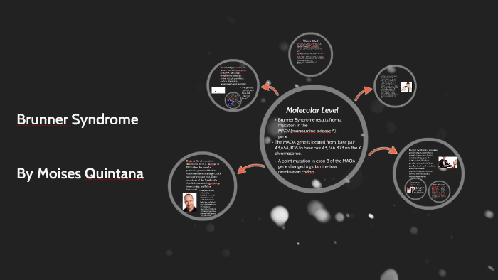 Brunner Syndrome by Moises Quintana on Prezi