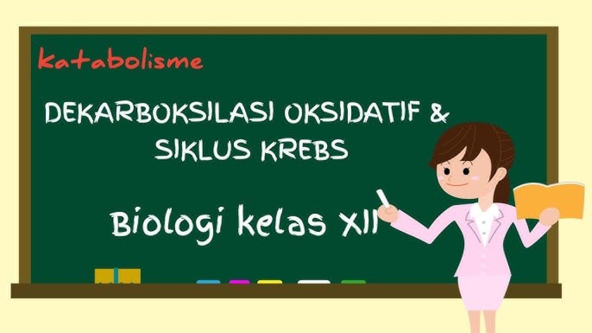 Berita Menganalisis Tahapan Dekarboksilasi Oksidatif Terbaru Hari Ini ...