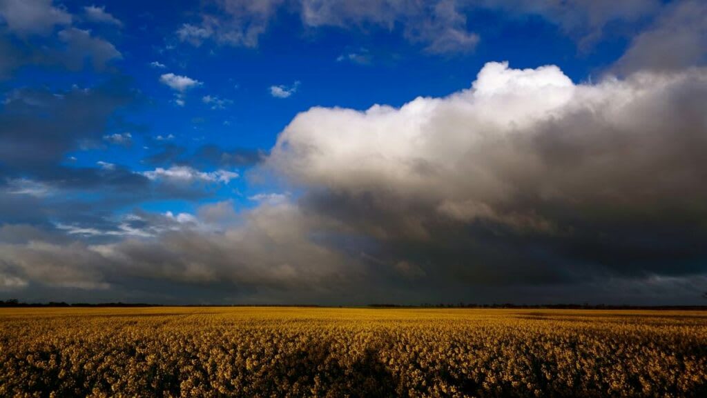 COP26: climate change and its impact on invasive species