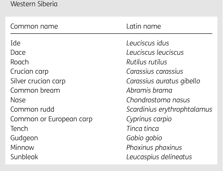 Opisthorchis felineus | Semantic Scholar