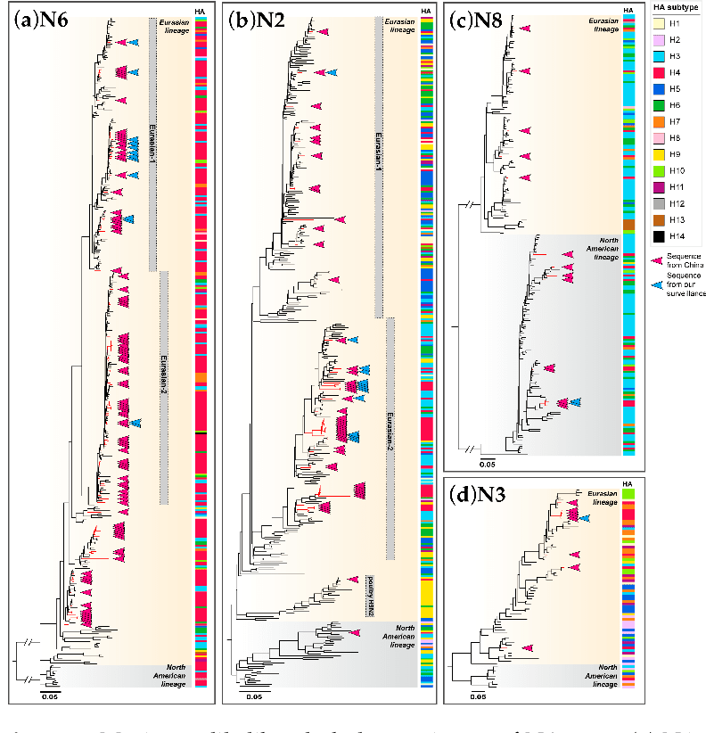 Figure 1 from Cross-Species Transmission Potential of H4 Avian ...