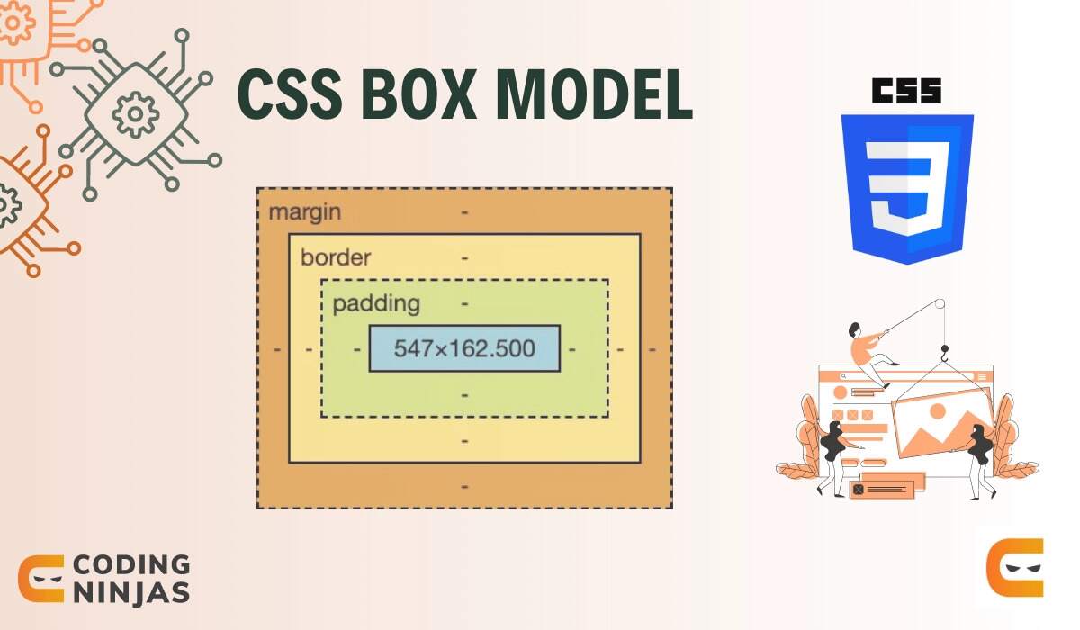 CSS Box Model - Coding Ninjas