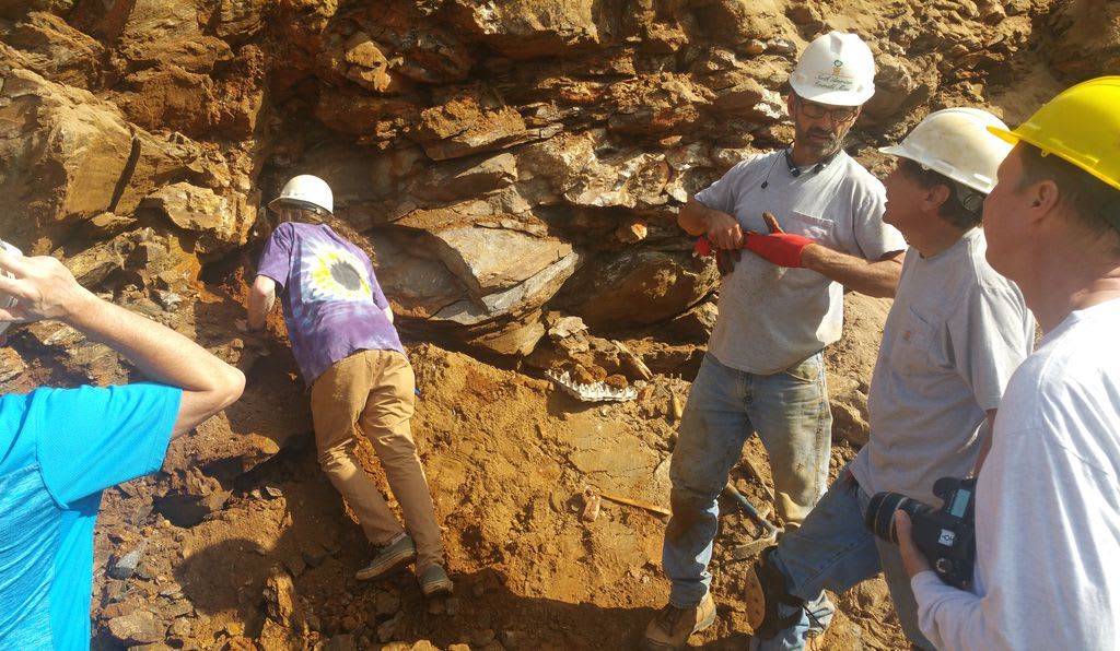 Emerald Hollow Mine in Hiddenite, North Carolina, offers multiple gem ...