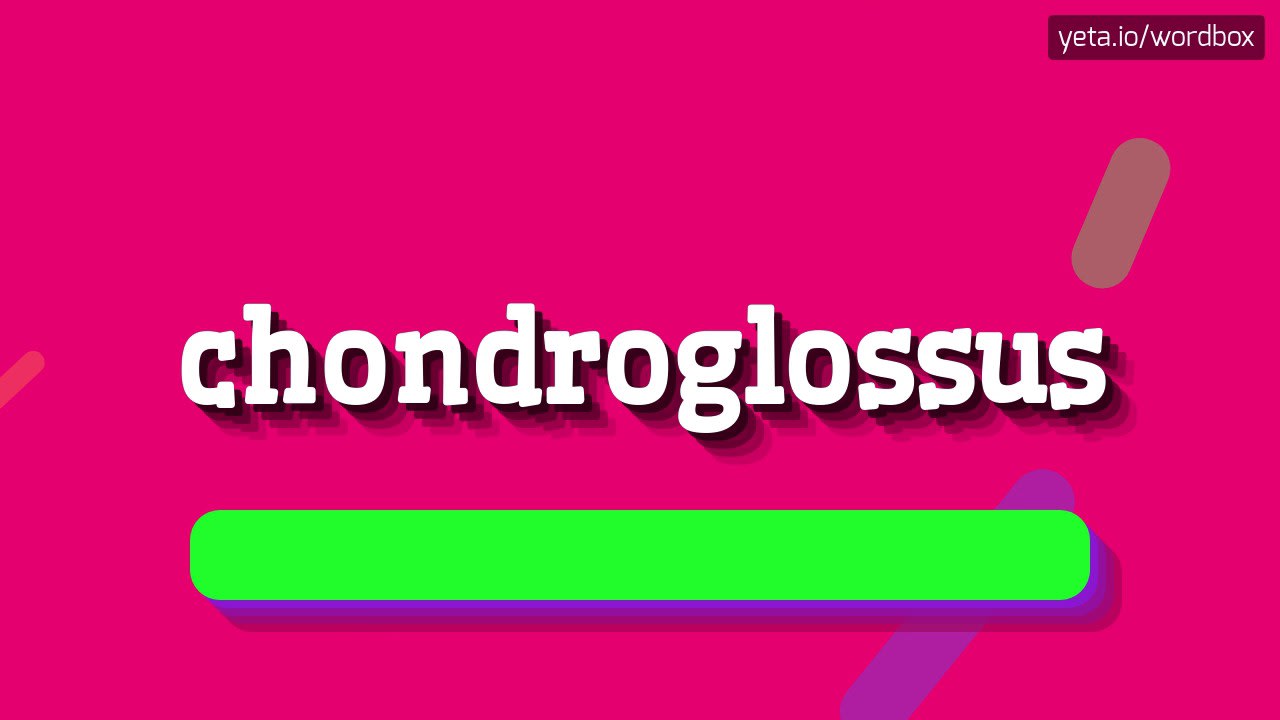 CHONDROGLOSSUS - HOW TO PRONOUNCE IT!? - YouTube