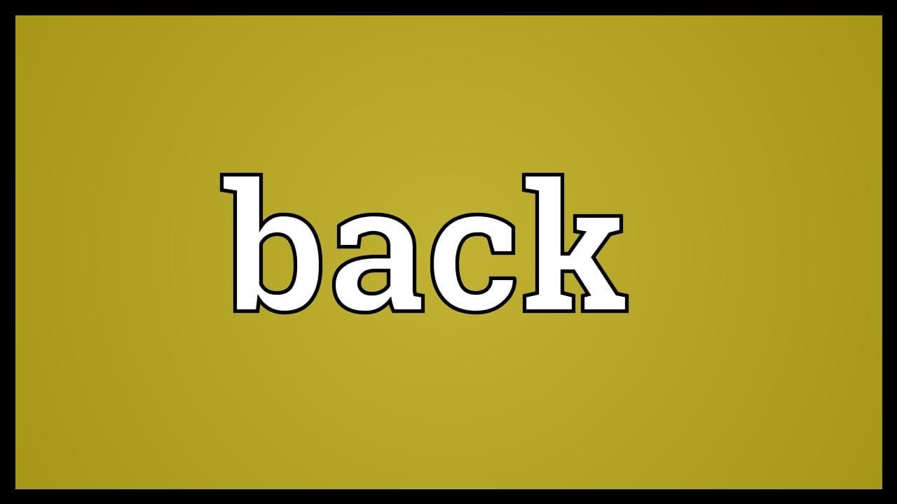 Black Back Meaning at Dean Lawson blog