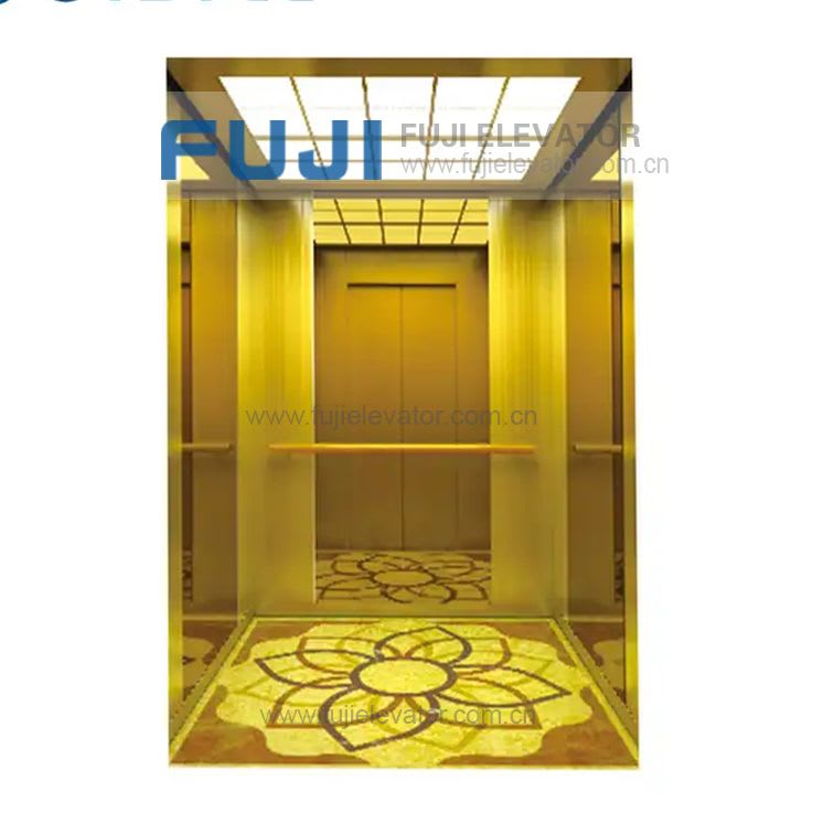 FUJI Passenger Price 6 Persons Luxury Home Villa Elevator Lift ...