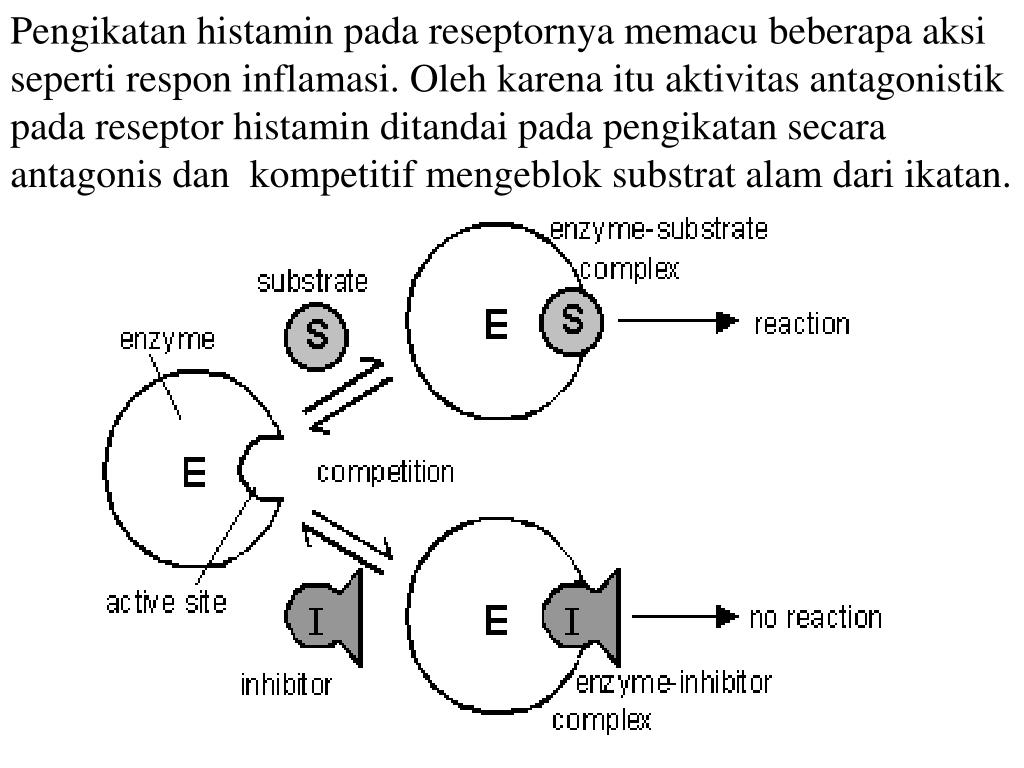 PPT - Kuliah Kimia Medisinal I Dr.Pudjono,SU,Apt. 1. Histamin dan ...