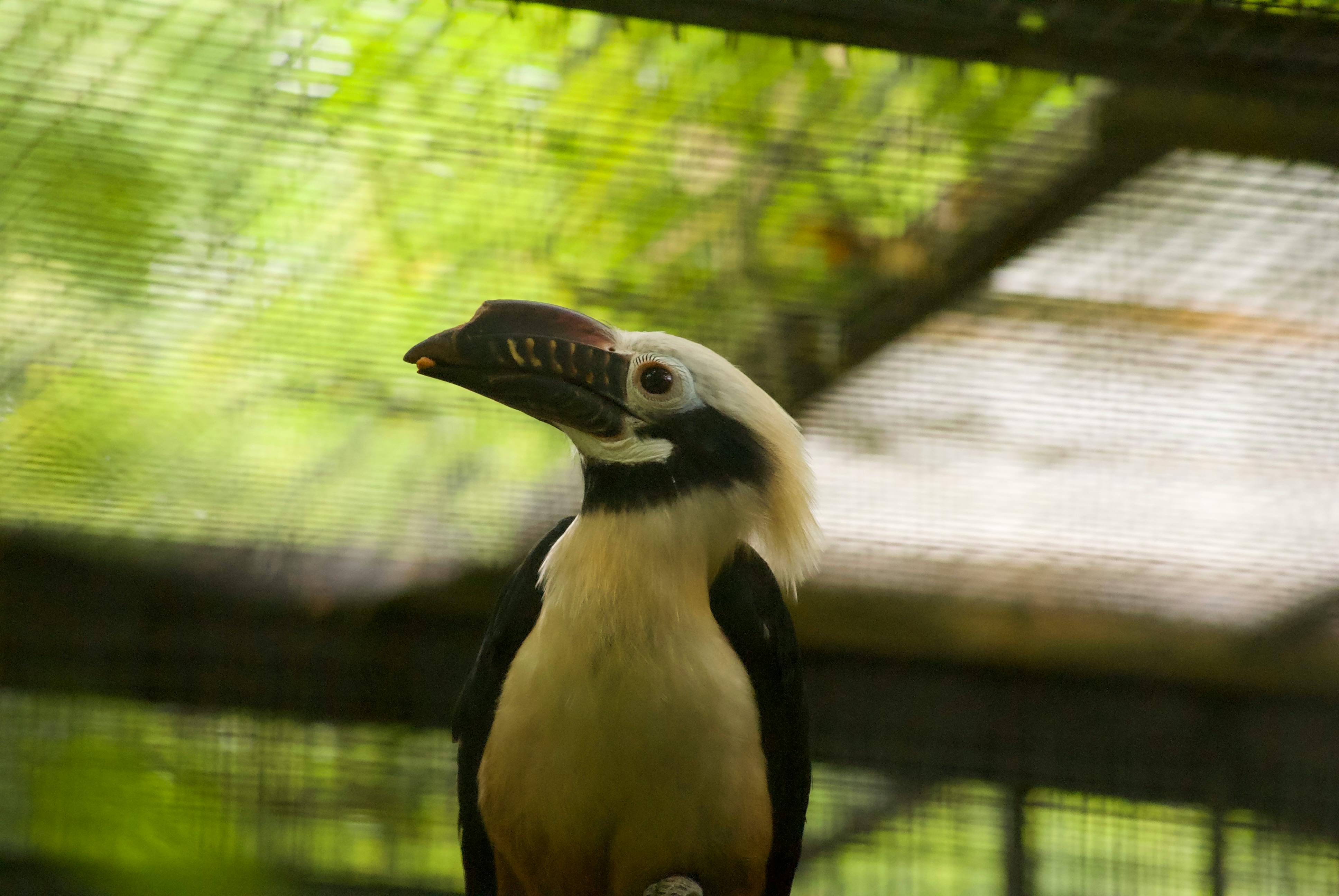 Captivity Photos, Download The BEST Free Captivity Stock Photos & HD Images