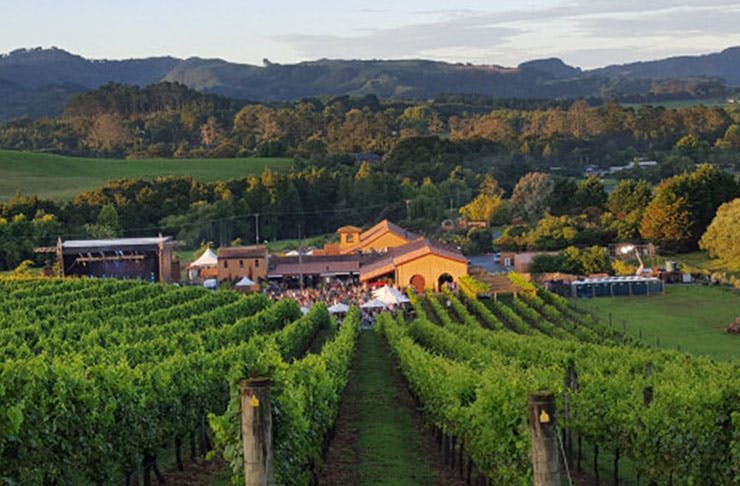 Where To Go Wine Tasting In And Around Auckland | URBAN LIST NEW ZEALAND